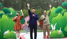 艺涵最新爆料新闻视频,最新爆料新闻视频深度解析